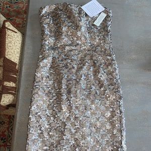 Sequin Strapless Dress